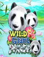 สูตรเด็ดบาคาร า sbobet เล่นง่ายได้เยอะเด้อ